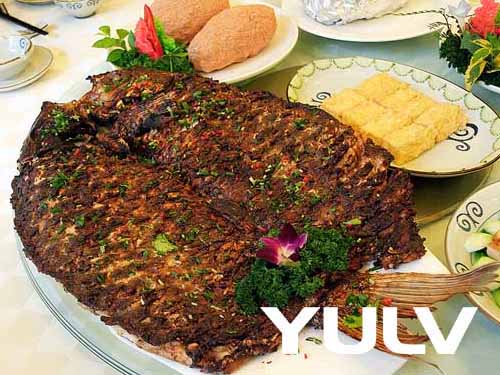 ԶɭɭֶȼپƵŷ