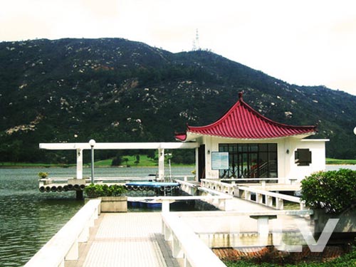 麣ʢֲֲ