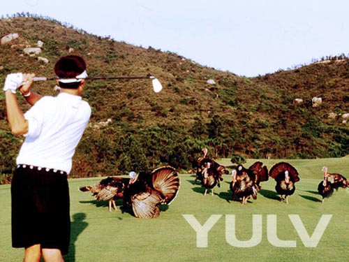 麣ʢֲֲ߶