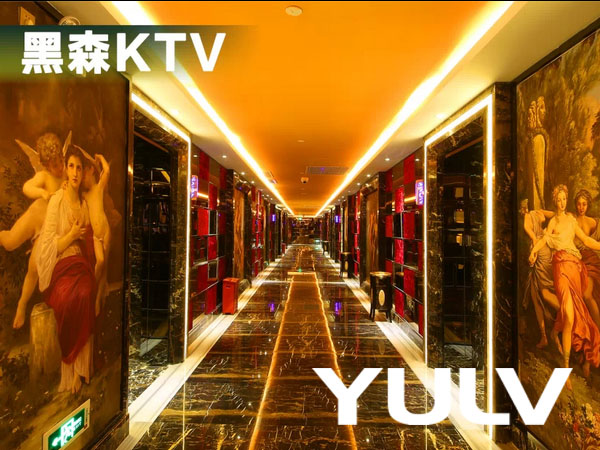 Դͷׯ԰ϲǶȼپƵKTV