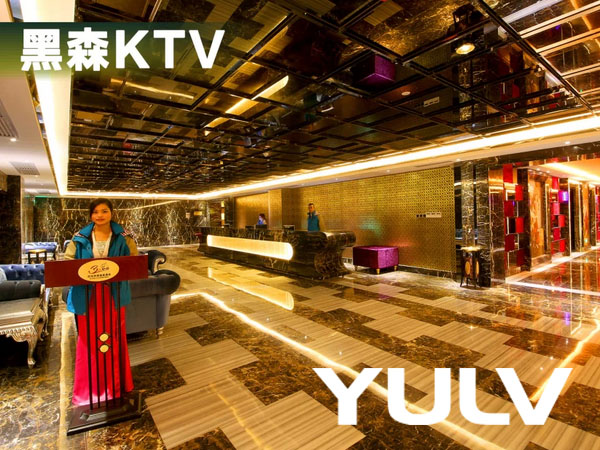 Դͷׯ԰ϲǶȼپƵKTV