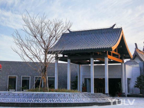 麣ôƵ